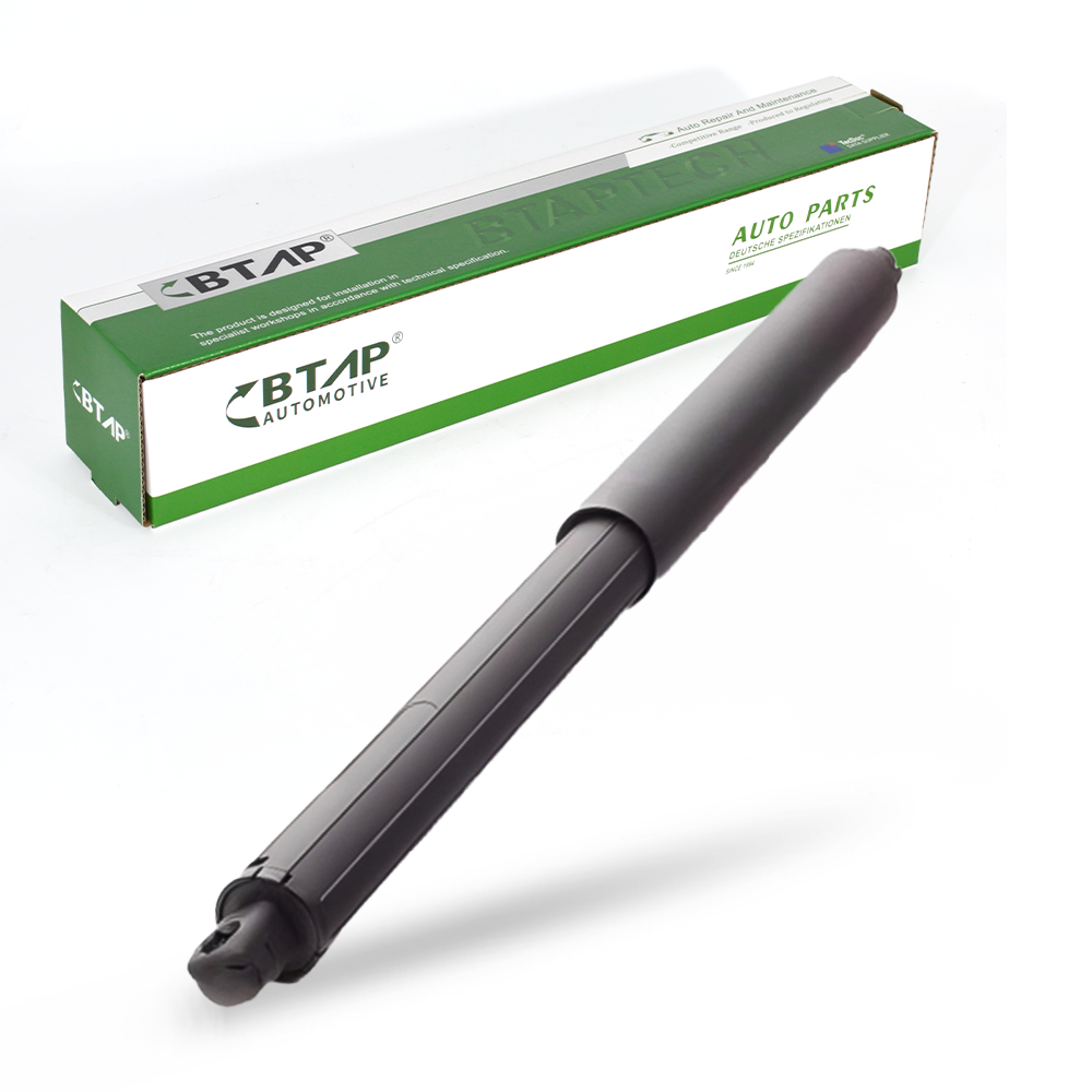 Trunk Gas Spring
